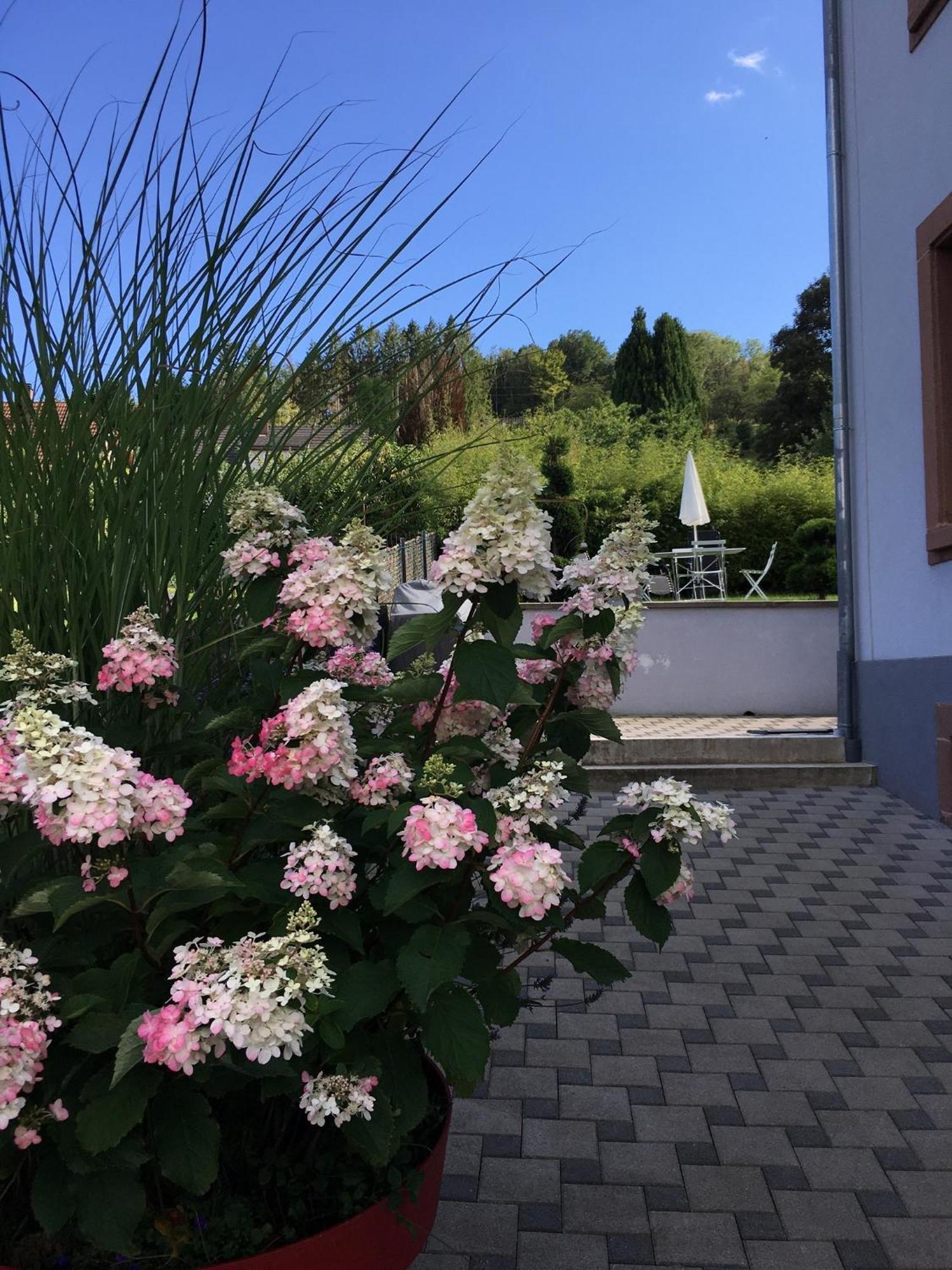 Barembach Les Magnolias En Alsace - Meuble De Tourisme 3 Etoiles 아파트 외부 사진