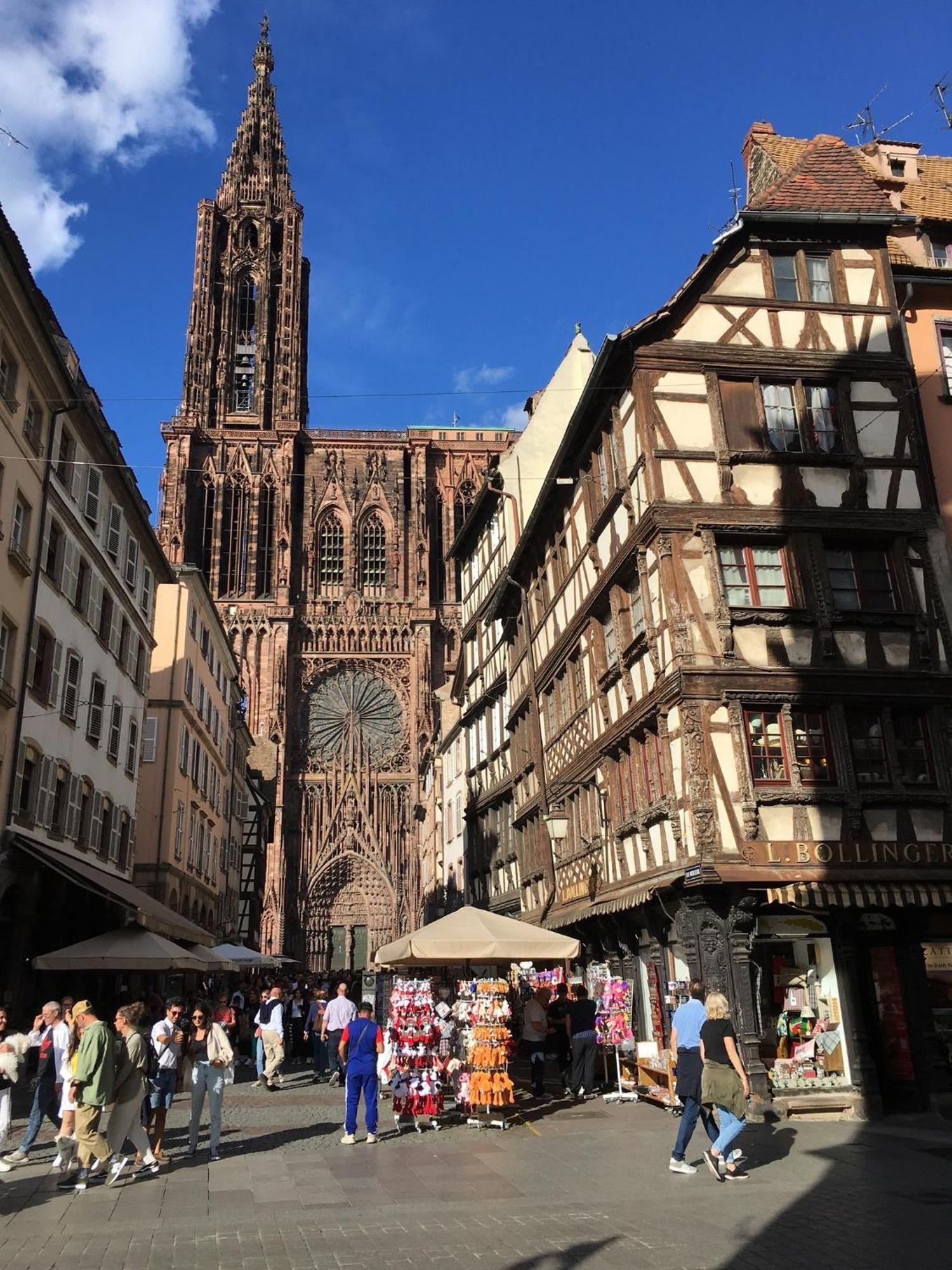 Barembach Les Magnolias En Alsace - Meuble De Tourisme 3 Etoiles 아파트 외부 사진